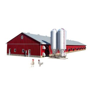 Poultry farm house design automatic poultry equipment chicken farm design