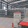 A&H type battery layer chicken cage