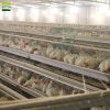 Poultry farm layer cage