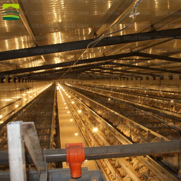 2022 hot sale H-type chicken cage