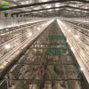 2022 hot sale H-type chicken cage
