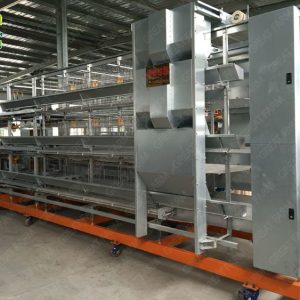 A&H type battery layer chicken cage