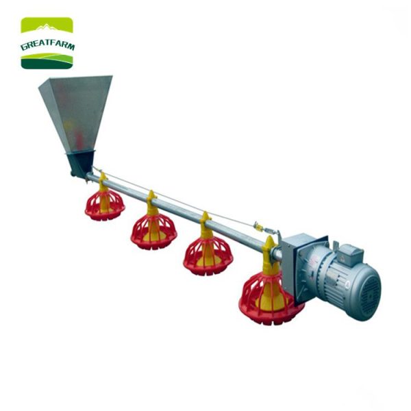 2022 hot product Poultry automatic feed line