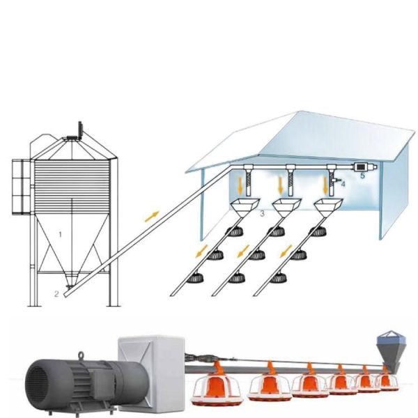 Poultry farming equipment pan feeding system