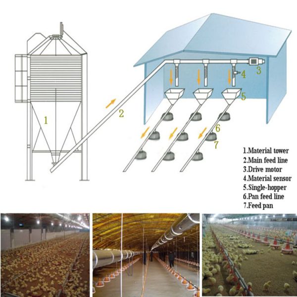 2022 hot product Poultry automatic feed line