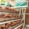 Gantry feeding machine