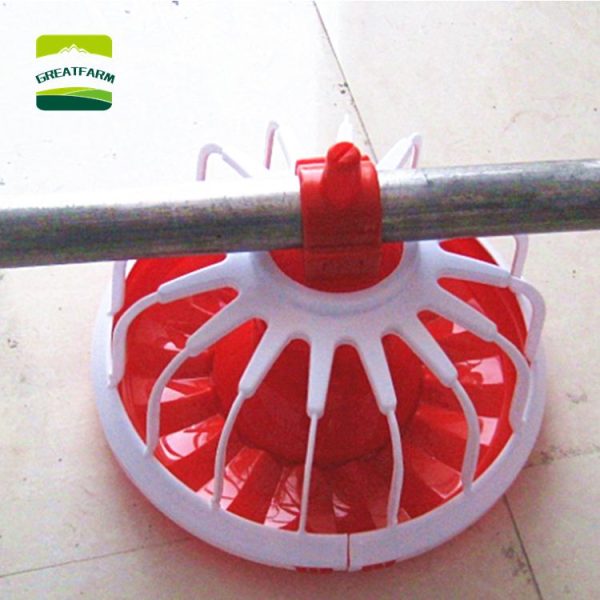 2022 hot product Poultry automatic feed line