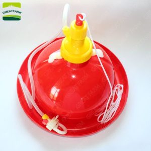 Automatic plasson drinker for poultry