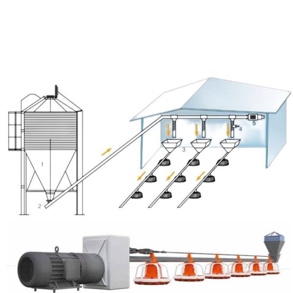 Broiler Feeding and Drinking line