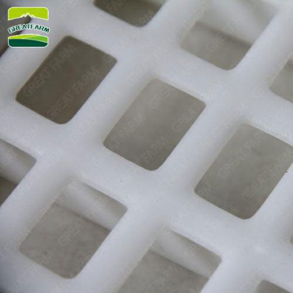 chicken farm pvc poultry slat flooring