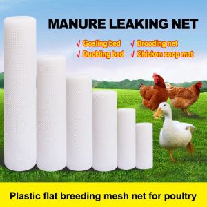 Plastic flat breeding mesh net for poultry