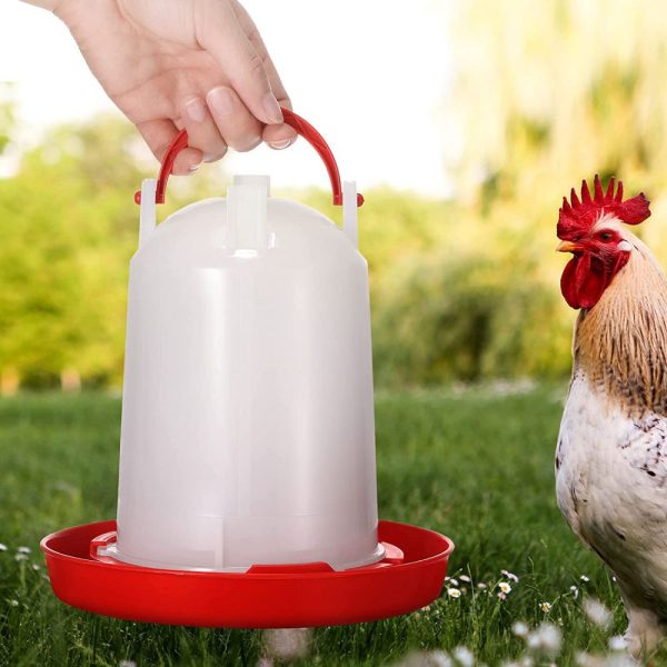 Poultry plastic chicken feeder and drinker