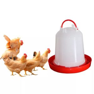 Poultry plastic chicken feeder and drinker