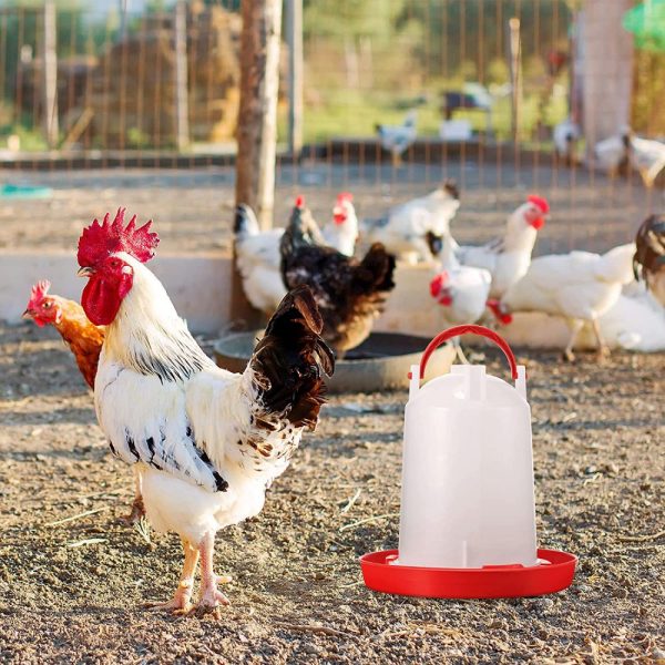 Poultry plastic chicken feeder and drinker