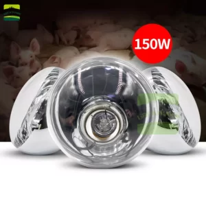 Chick Bulb Heating Lamp