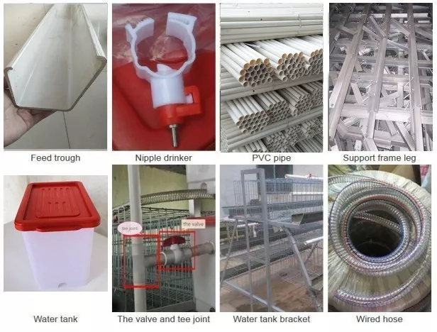 Great-farm-broiler-chicken-cages-03 - China Chicken Cage - Great Farm Great farm broiler chicken cages