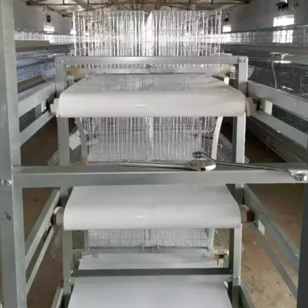 Manure Scraper Machine Poultry Farm Equipment Manure Cleaning Conveyor Belt For Removal System