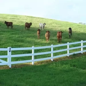 Plastic Horse Fence Farm