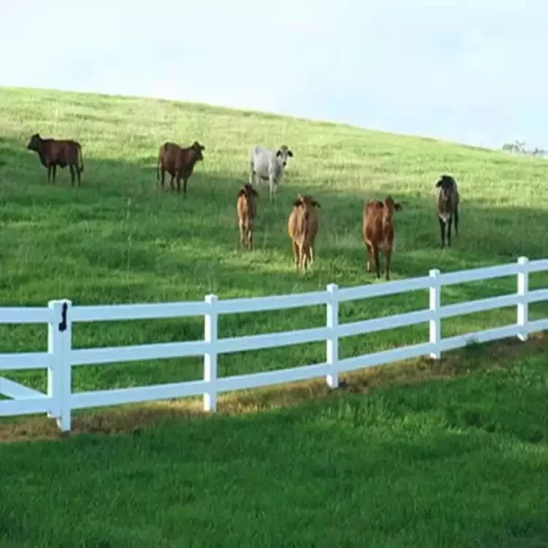 Plastic Horse Fence Farm