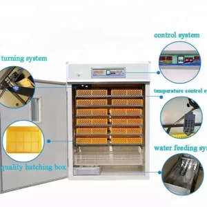 Egg Incubator