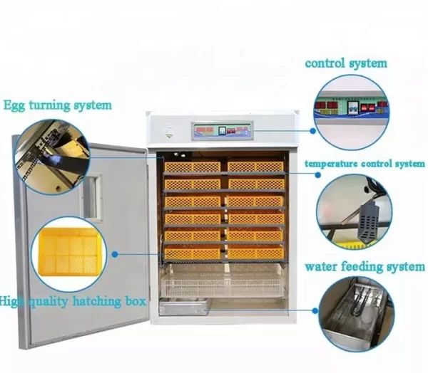 Egg Incubator