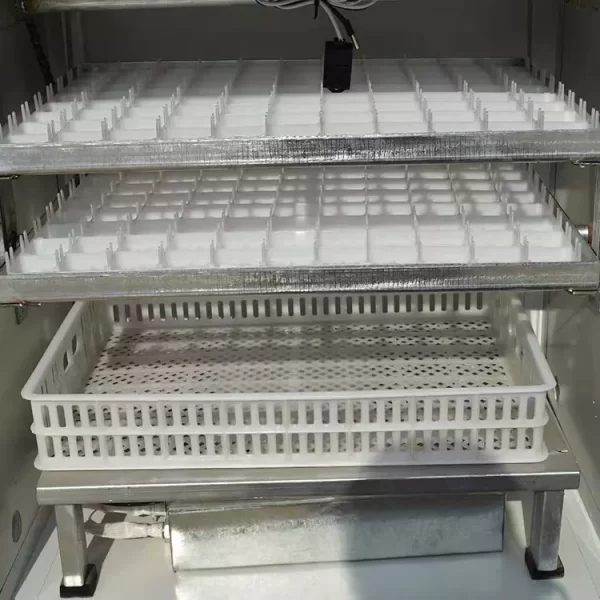 Egg Incubator