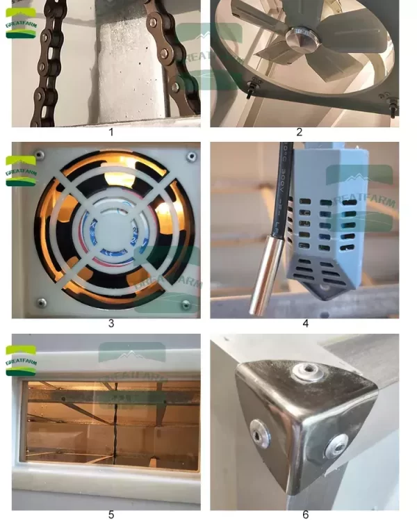 Egg Incubator