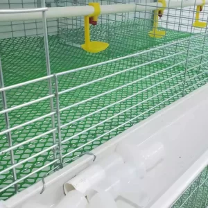 Cages For Broiler Chicken