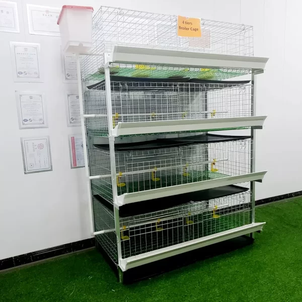 Cages For Broiler Chicken