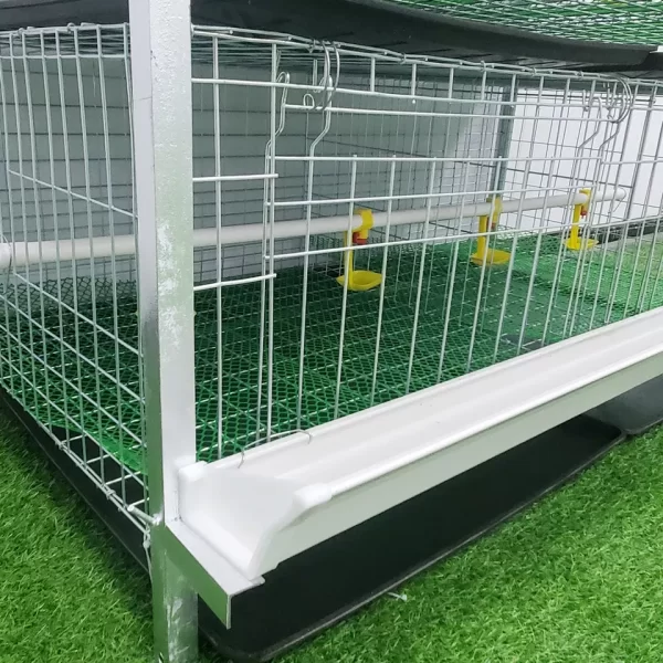 Cages For Broiler Chicken