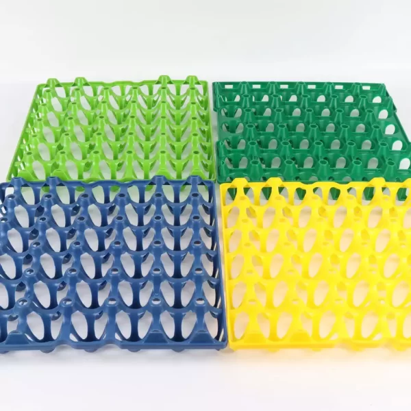 egg trays