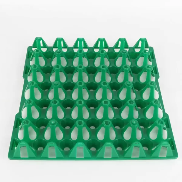 egg trays