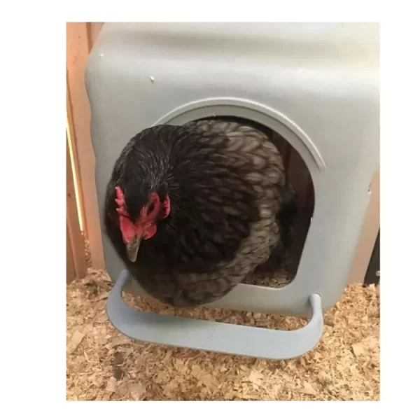 Plastic Single Hole Chicken Nesting Boxes