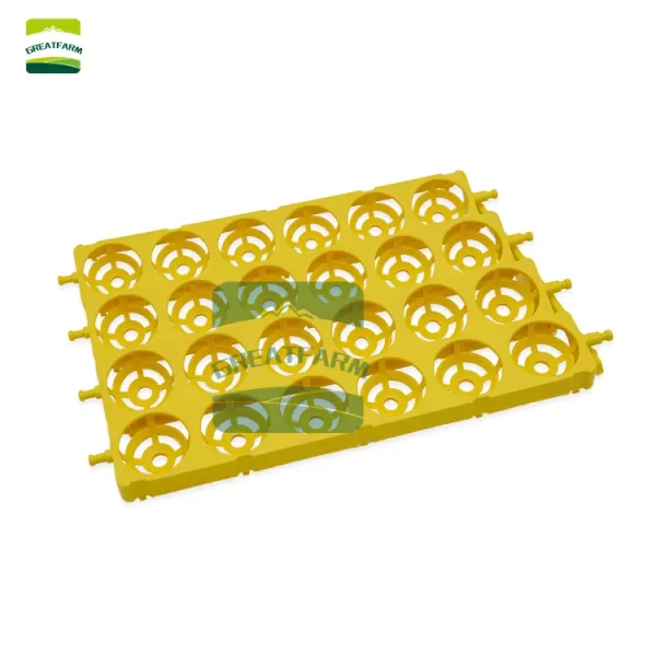 24 Eggs Incubator