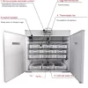 Egg Incubator
