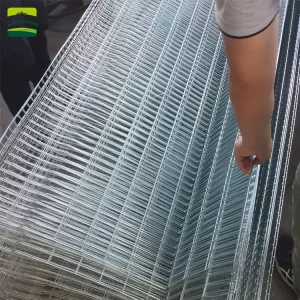 Chicken cage project for layer hens broiler