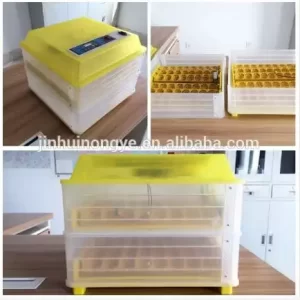 mini eggs incubator