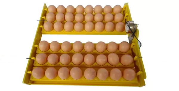 mini eggs incubator