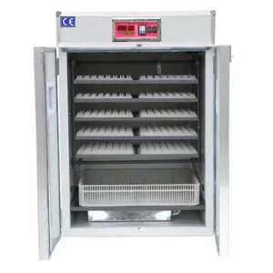 automatic egg incubator