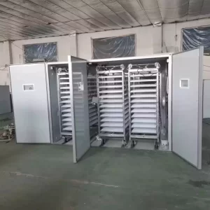 automatic large industrial incubators