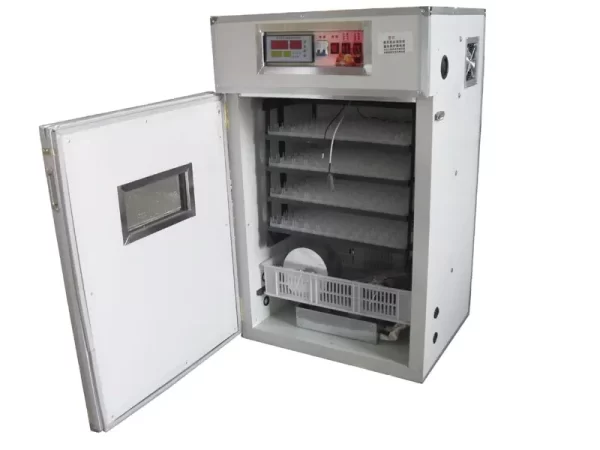 eggs incubators