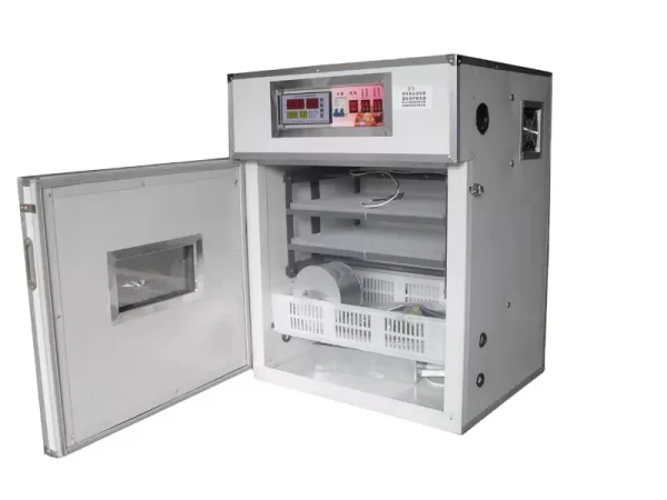 eggs incubators