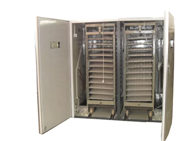 eggs incubators