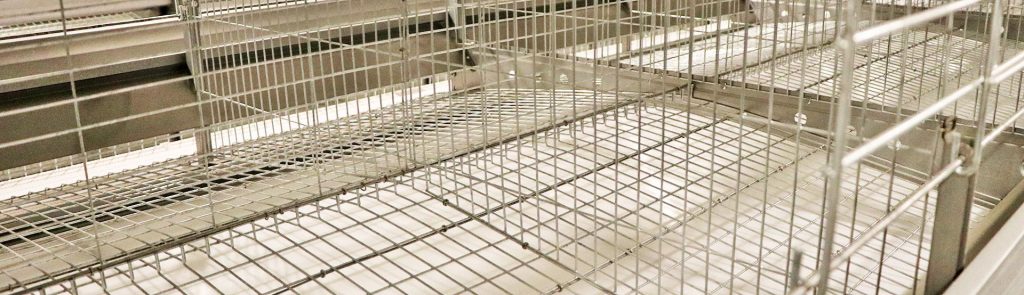 automatic breeding equipment for chicks - China Chicken Cage - Great Farm automatic breeding equipment for chicks