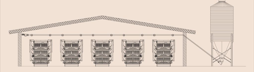 automatic breeding equipment for chicks - China Chicken Cage - Great Farm automatic breeding equipment for chicks