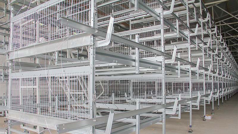 Four-layer (H-type) layer chicken cage